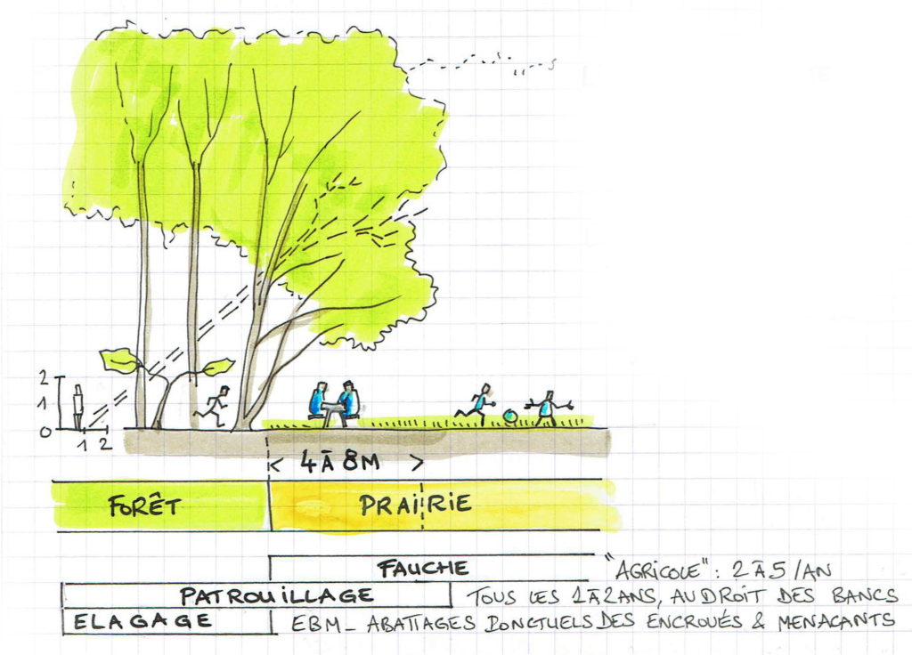 arbre projet aménagement